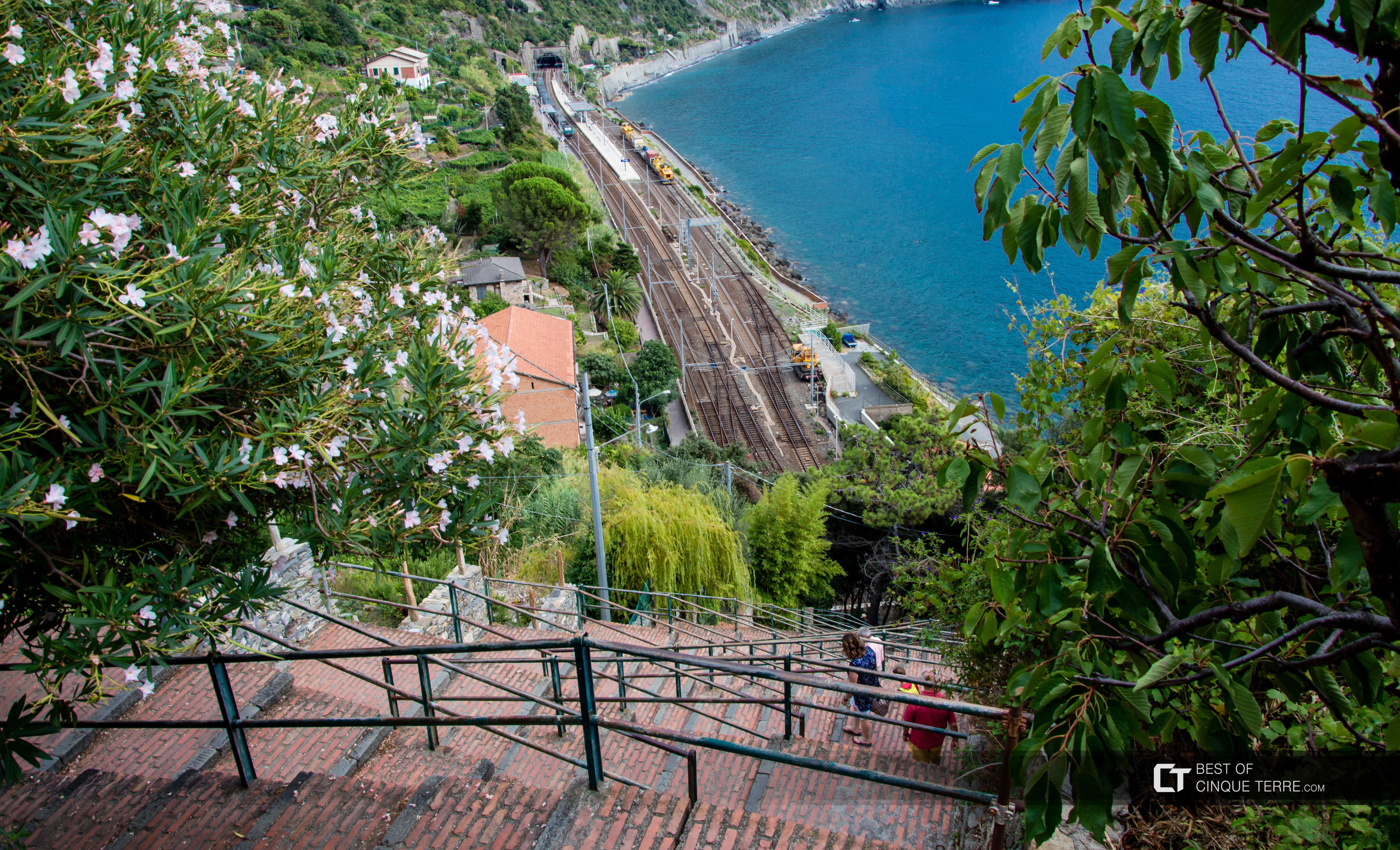 L'escalier qui descend du village à la gare, Corniglia, Cinque Terre, Italie