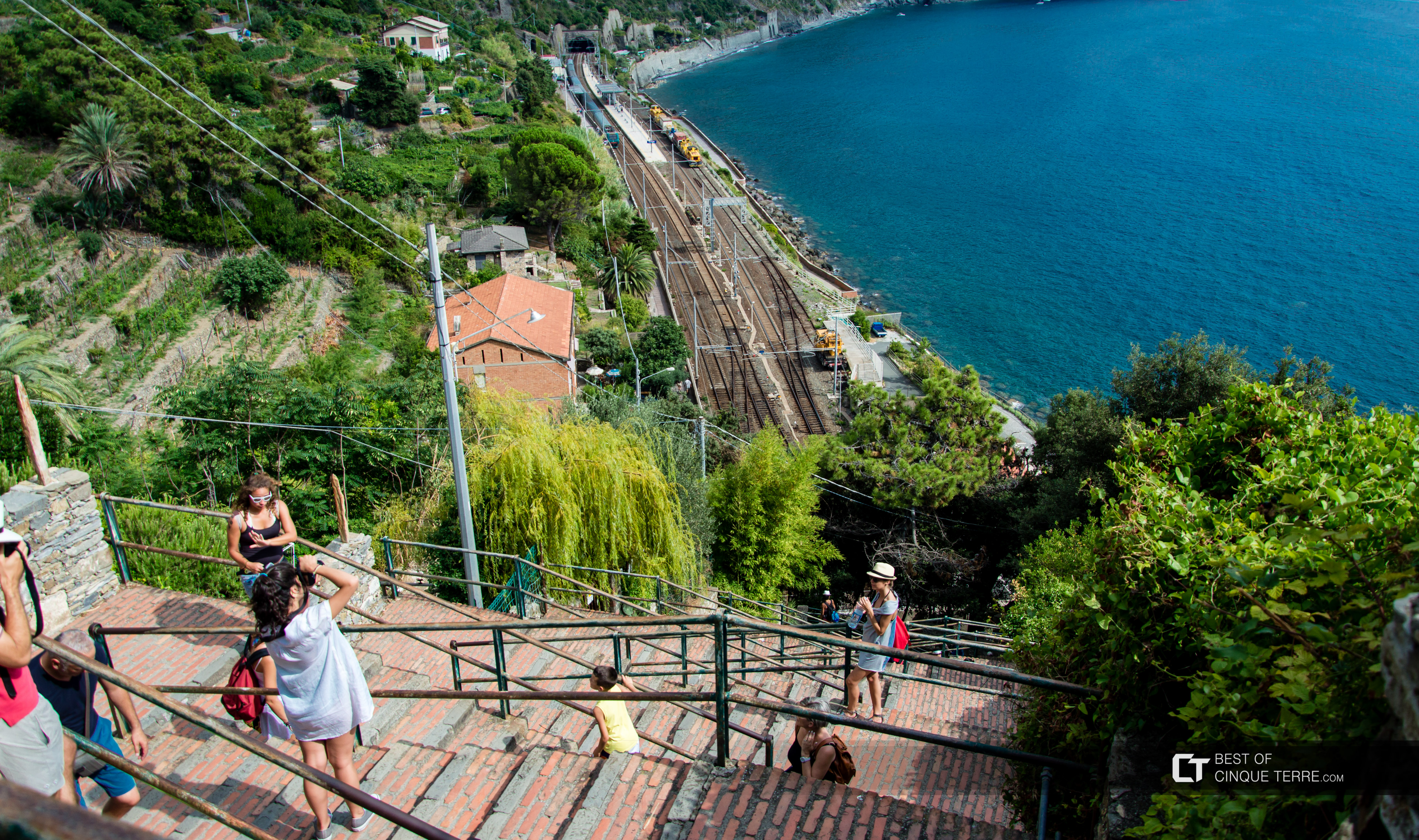 L'escalier qui descend du village à la gare, Corniglia, Cinque Terre, Italie