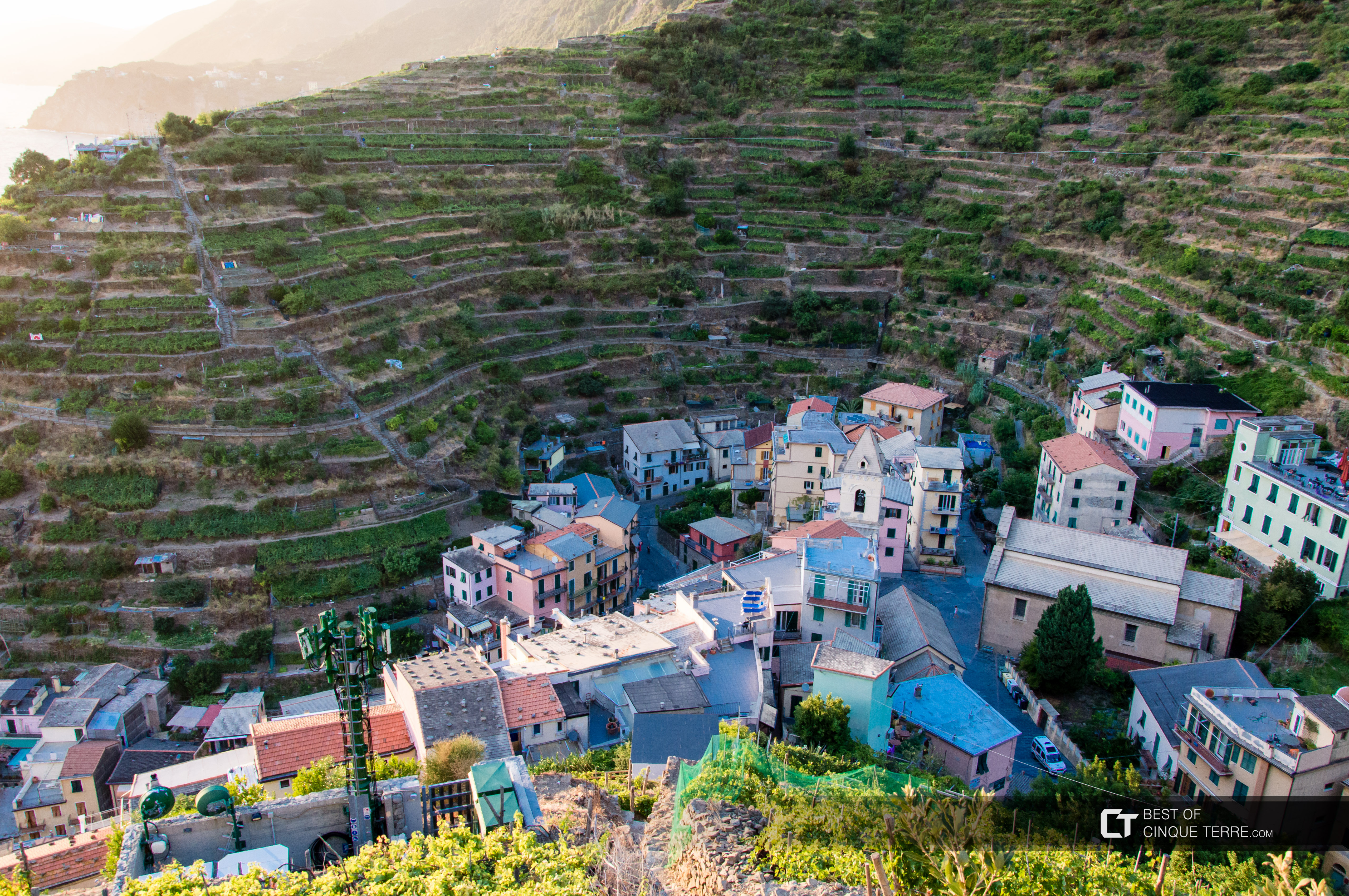 Ansicht des Dorfs vom Wanderweg Beccara, Manarola, Cinque Terre, Italien