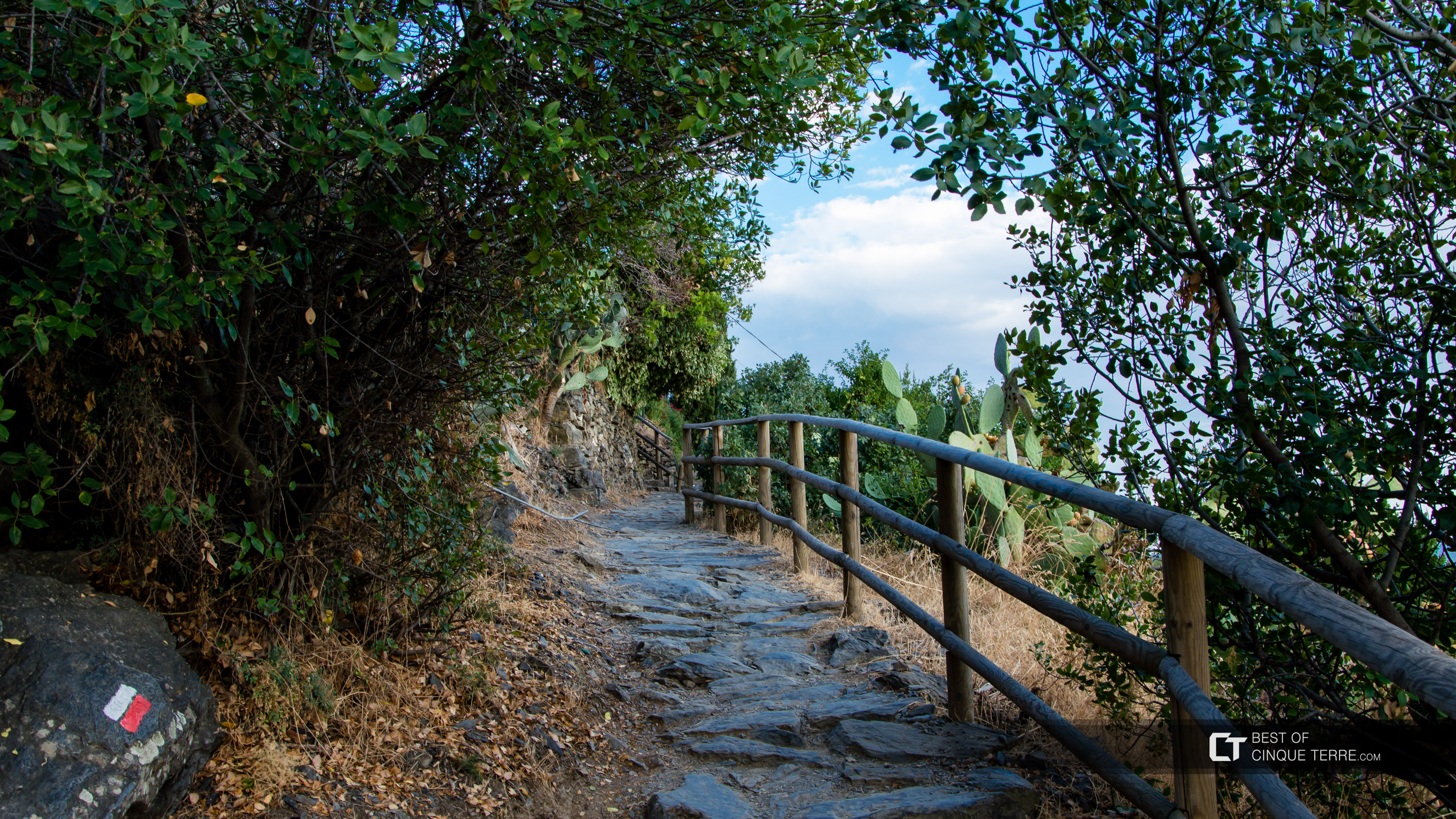 Der Sentiero Azzurro von Vernazza nach Corniglia, Wanderwege, Cinque Terre, Italien