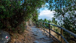 Camino Celeste desde Vernazza hacia Corniglia, Los senderos, Cinco Tierras, Italia