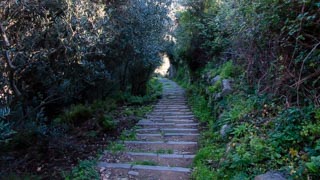 Coborâș din Volastra spre Manarola (1200 de trepte), Poteci de pietoni, Cinque Terre, Italia