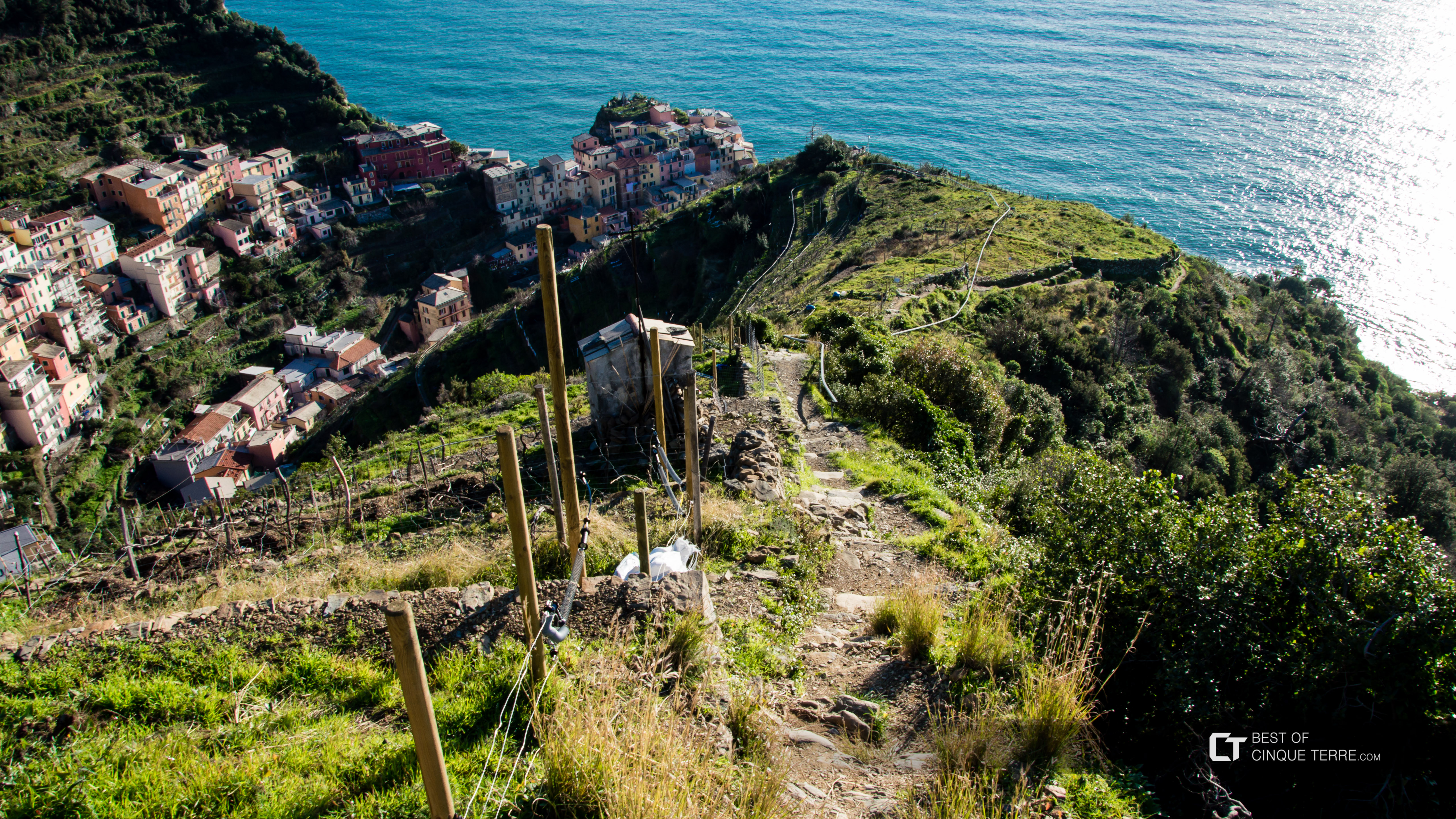 Zejście z Volastry do Manaroli (trasa panoramiczna), Trasy piesze, Cinque Terre, Włochy