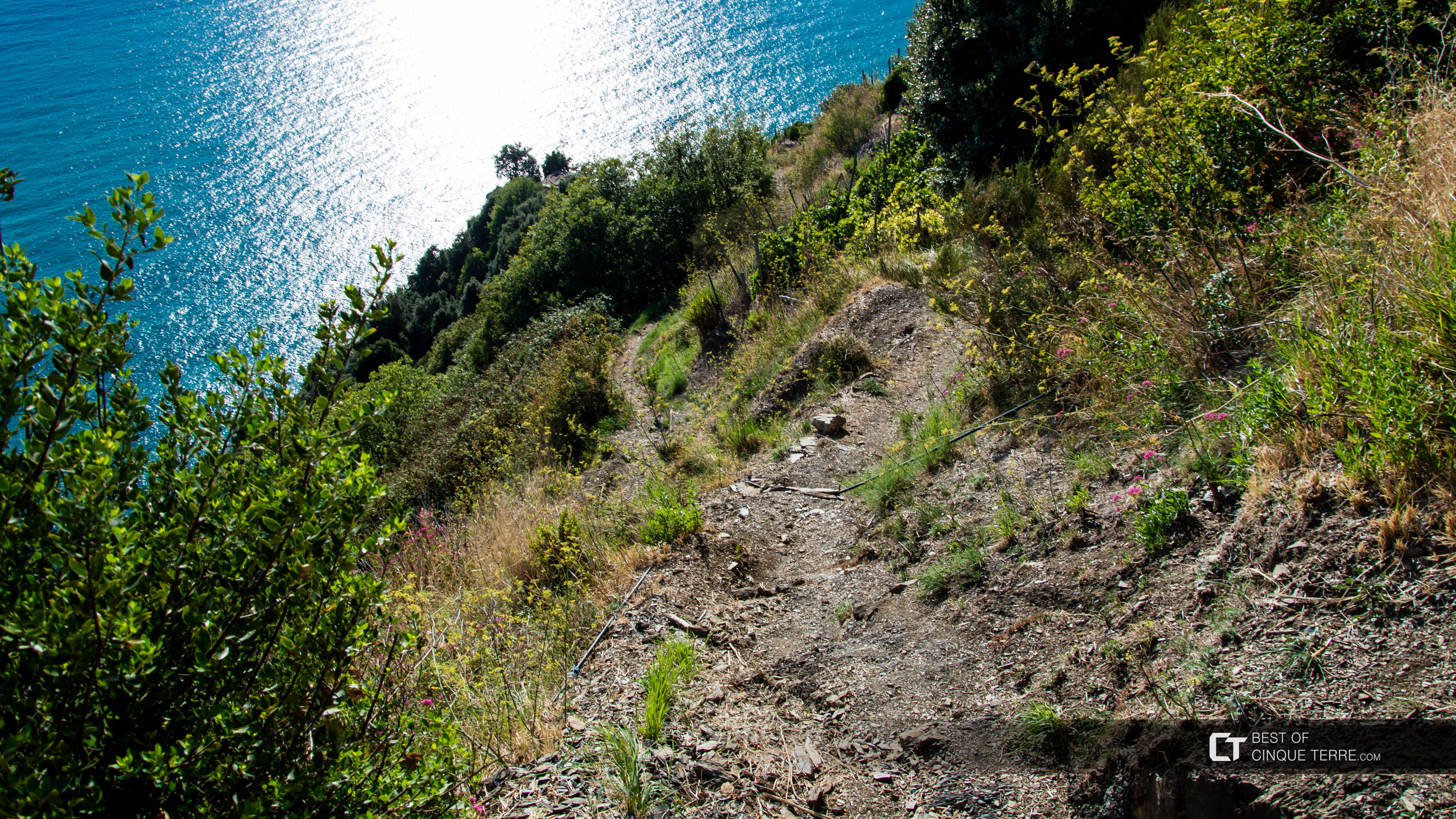 Bajada desde San Bernardino hacia Vernazza, Los senderos, Cinque Terre, Italia
