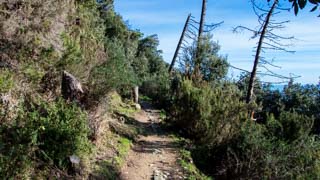 The long route Corniglia - Volastra - Manarola, Trails, Cinque Terre, Italy