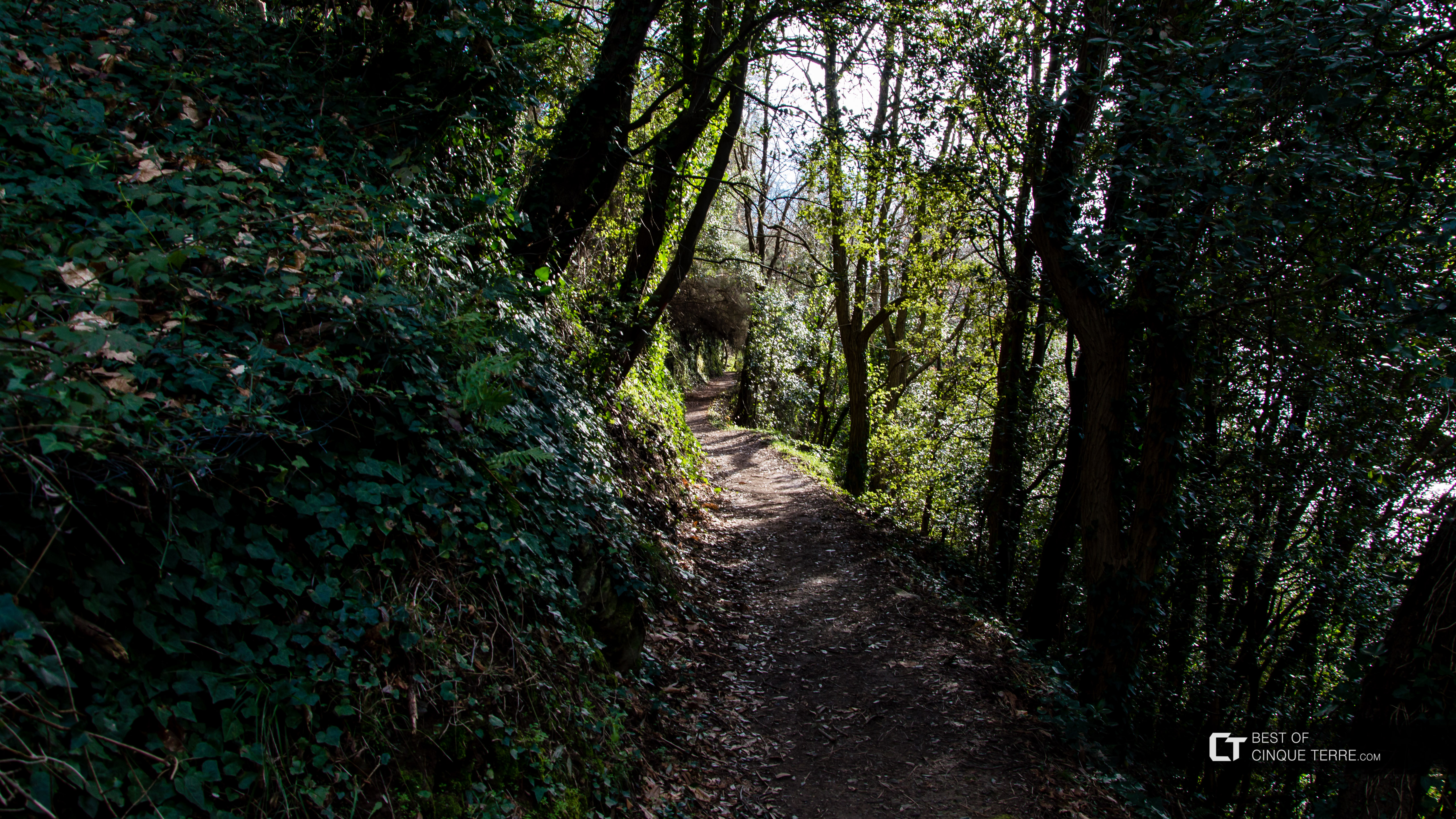 Le sentier long de Corniglia à Manarola, via Volastra, Sentiers, Cinque Terre, Italie