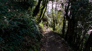 Le sentier long de Corniglia à Manarola, via Volastra, Sentiers, Cinque Terre, Italie