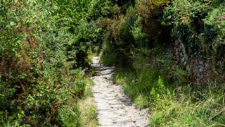 Calea lungă din Corniglia spre Vernazza, Poteci de pietoni, Cinque Terre, Italia