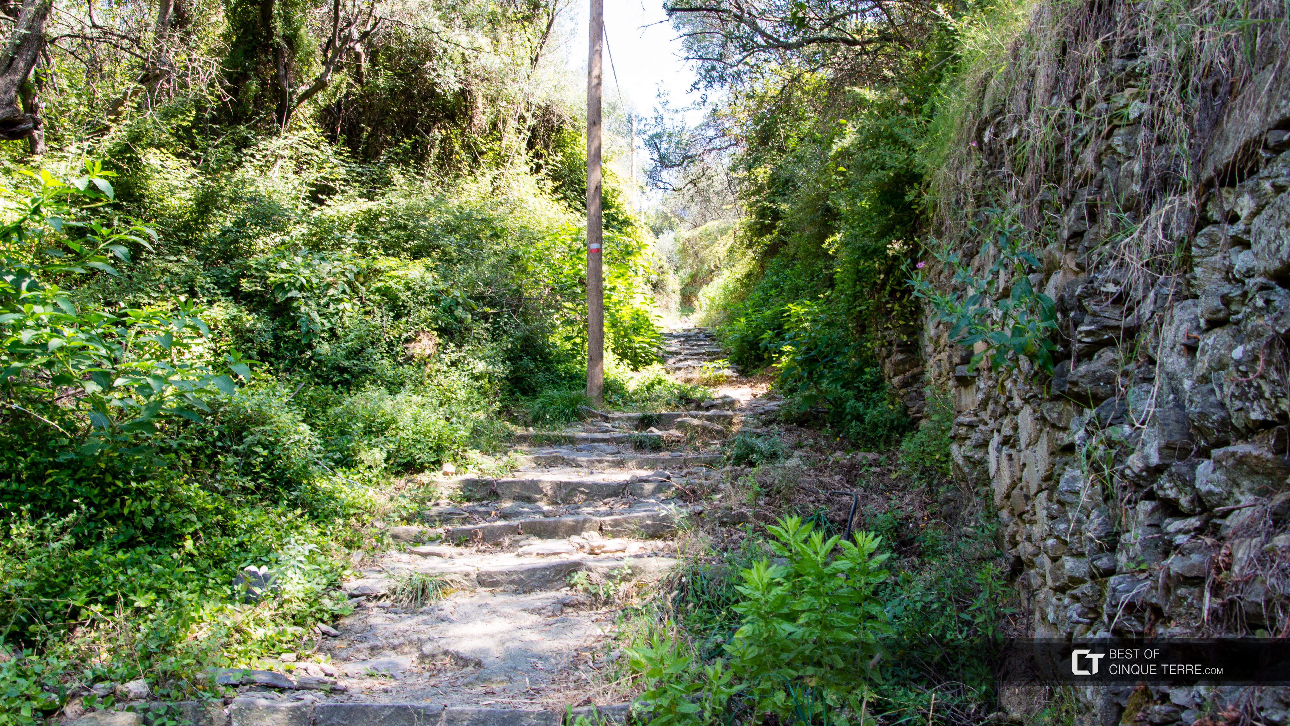 Il percorso lungo da Monterosso a Vernazza, Sentieri, Cinque Terre, Italia