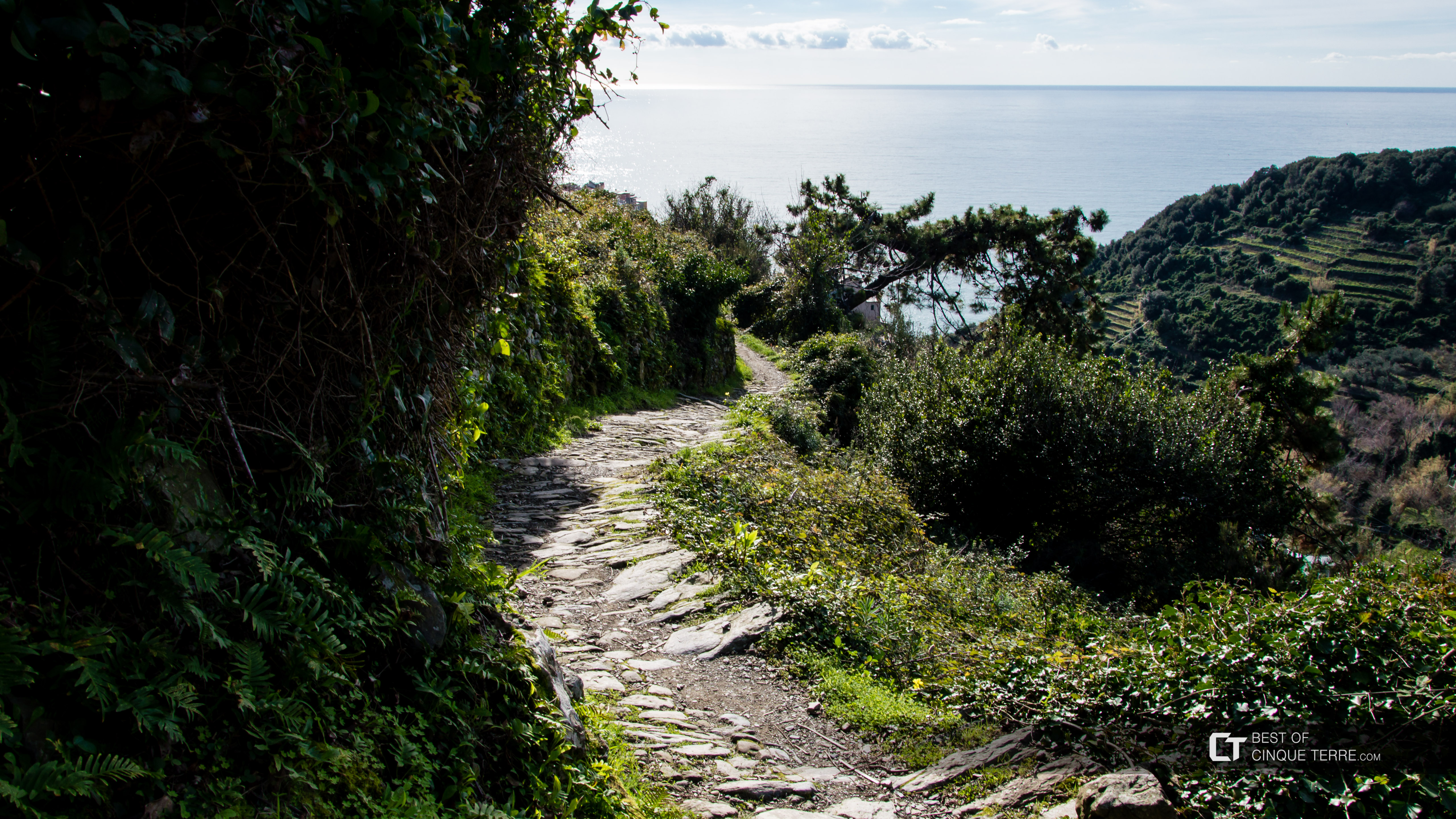 Der lange Wanderweg von Manarola - Corniglia - Volastra, Wanderwege, Cinque Terre, Italien