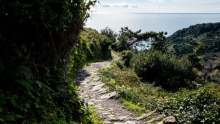 Le sentier long de Manarola à Corniglia, via Volastra, Sentiers, Cinque Terre, Italie