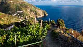 Via Beccara from Manarola to Riomaggiore, Trails, Cinque Terre, Italy