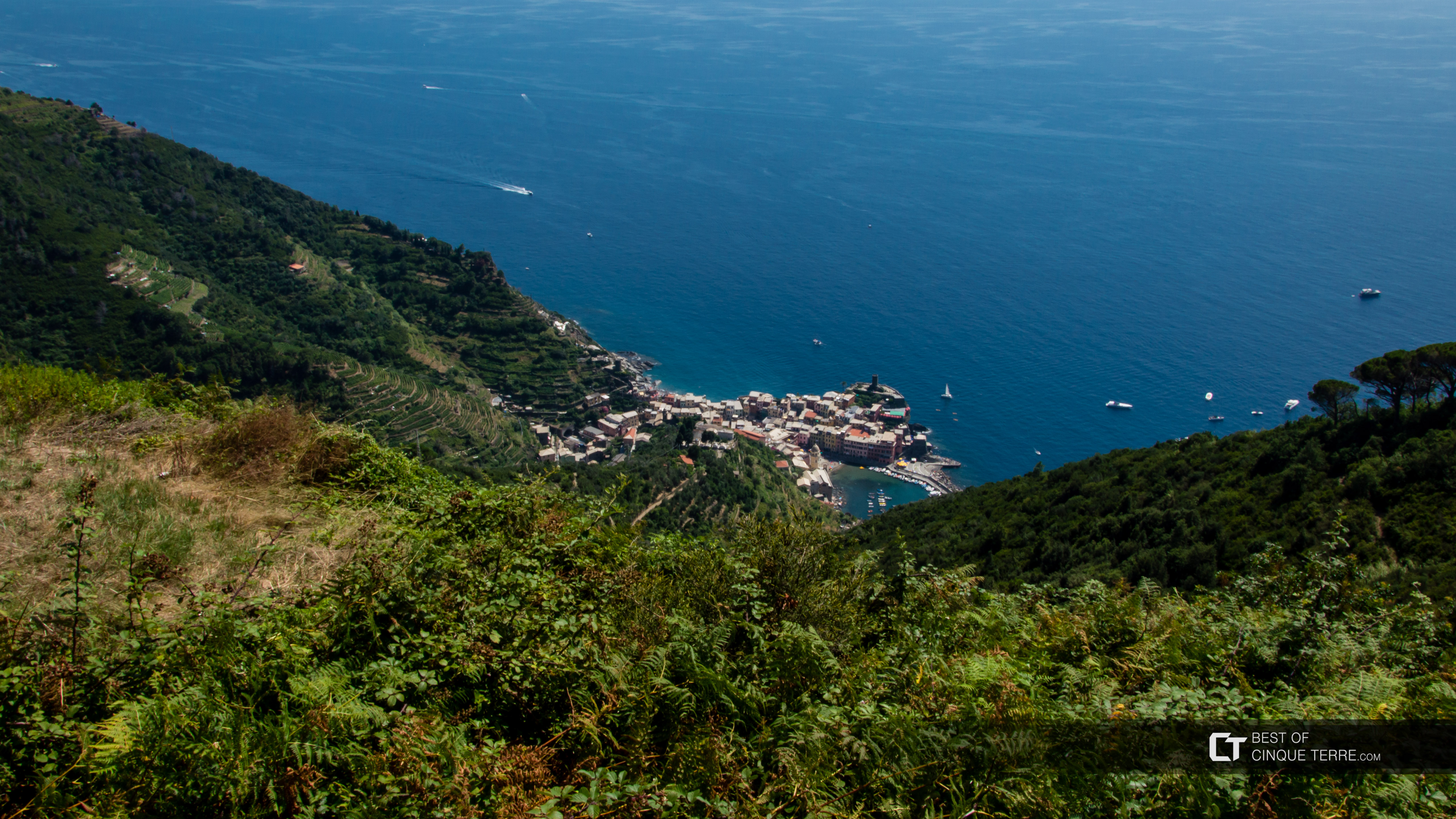 Vedere spre Vernazza de pe calea lungă din Monterosso spre Vernazza, Poteci de pietoni, Cinque Terre, Italia