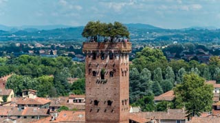 Turnul Guinigi, Lucca, Italia