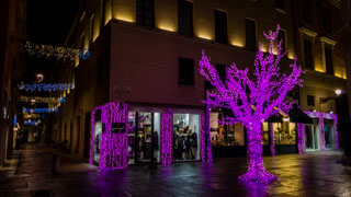 Centrum miasta z tradycyjnymi bożonarodzeniowymi dekoracjami, Parma, Włochy