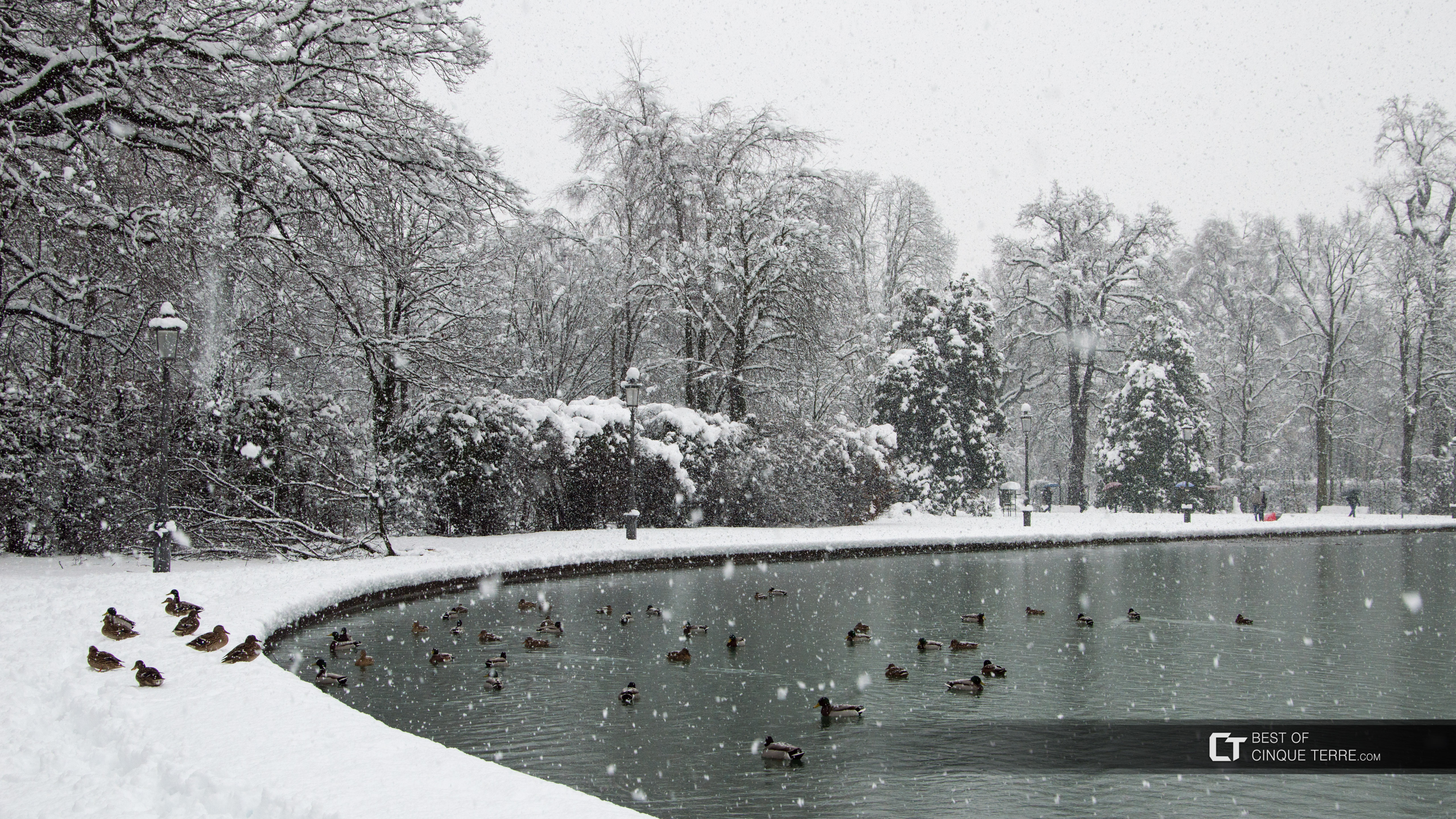 Lake in the Ducal Park in the snow, an unusual occurrence, Parma, Italy