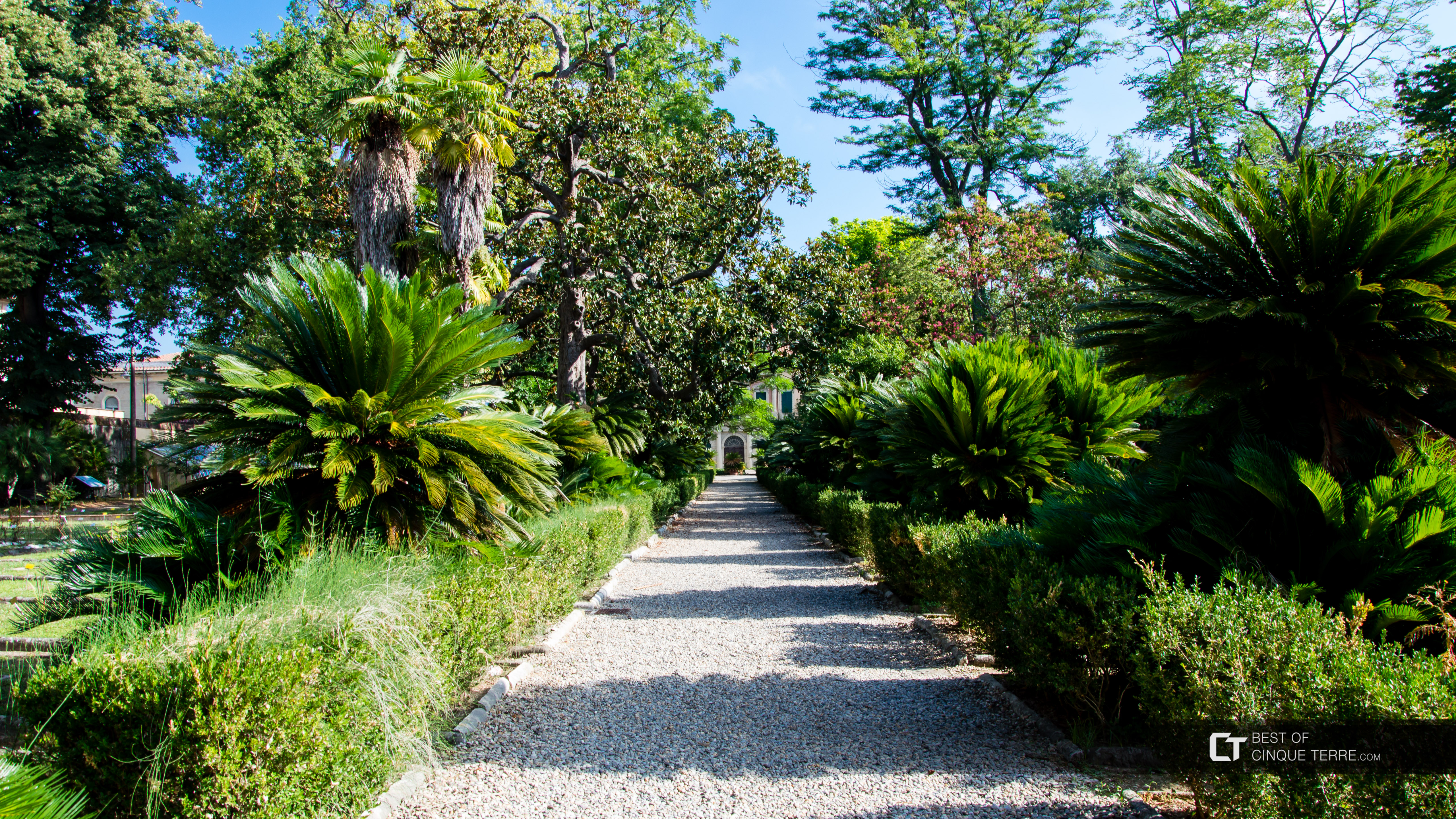 Ботанический сад, Пиза, Италия